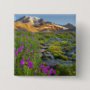 Chapa Cuadrada EE. UU., Parque Nacional Mt. Rainier, Washington.
