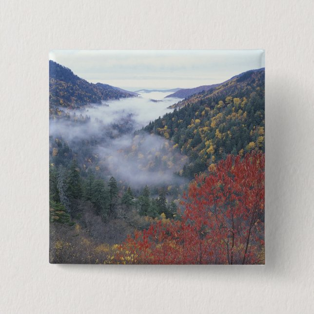 Chapa Cuadrada EE.UU., Tennessee, Great Smokey Mountains National (Anverso)