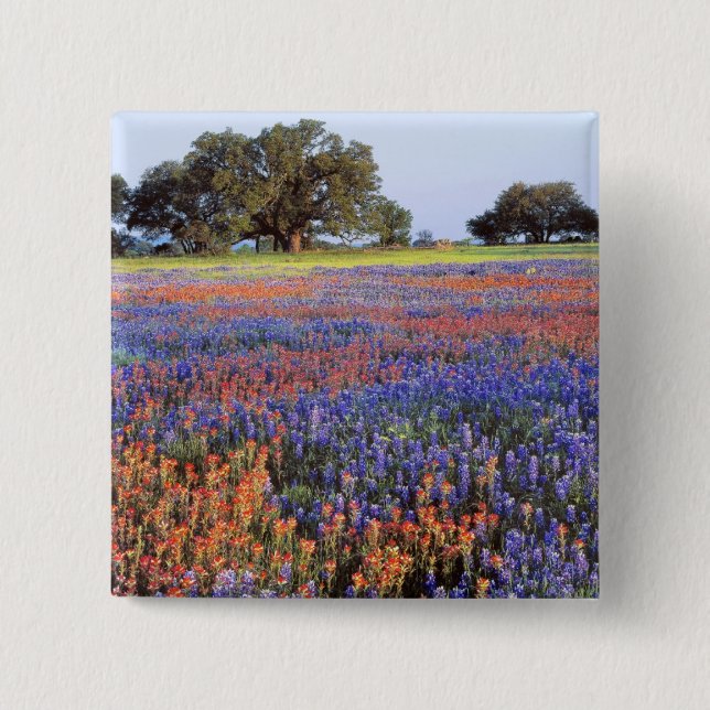 Chapa Cuadrada EE. UU., Texas, Llano. Lupinos y redbonnets (Anverso)