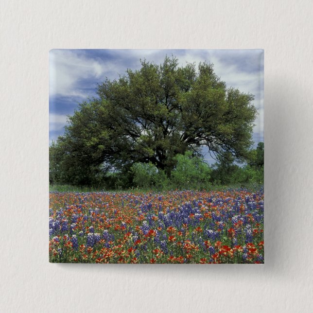 Chapa Cuadrada EE. UU., Texas, Marble Falls Paintbrush y (Anverso)