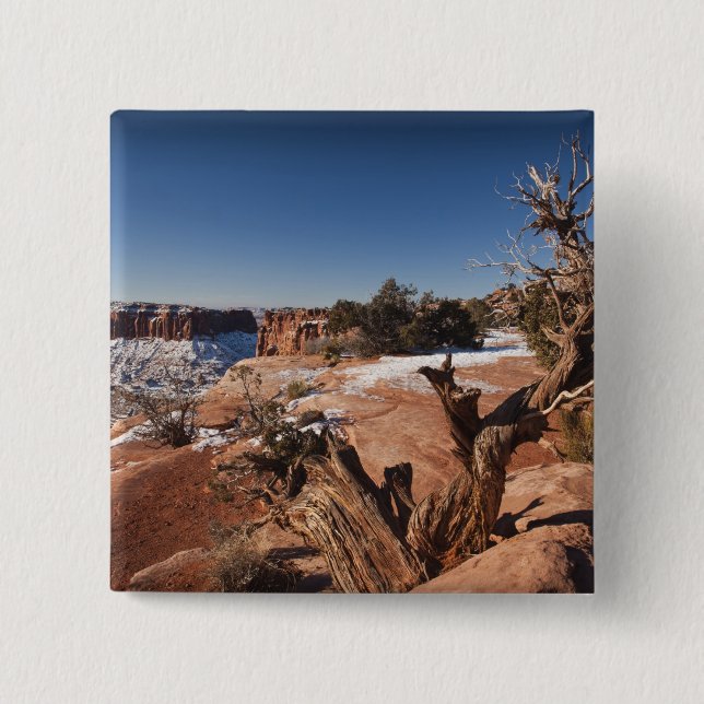 Chapa Cuadrada EE. UU., Utah, Moab. Parque Nacional Canyonlands, (Anverso)