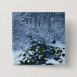 Chapa Cuadrada EE.UU., Utah, Wasatch-Catch National Forest,