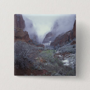 Chapa Cuadrada EE. UU., Utah, Zion NP, tormenta de nieve de prima