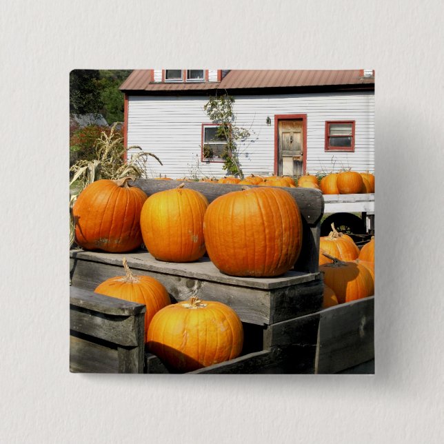 Chapa Cuadrada EE. UU., Vermont. Calabazas (Anverso)