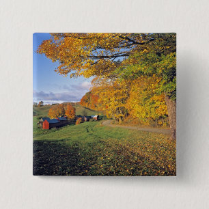 Chapa Cuadrada EE. UU., Vermont, Jenne Farm. El otoño llega a Jen