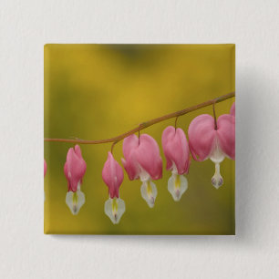 Chapa Cuadrada EE.UU., Virginia, Arlington, clausura rosa