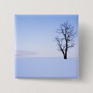 Chapa Cuadrada EE.UU., Virginia, Condado de Page, Black Locust