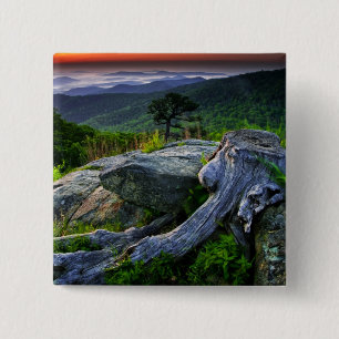 Chapa Cuadrada EE. UU., Virginia, Parque Nacional Shenandoah.