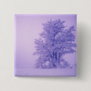 Chapa Cuadrada EE.UU., Washington, Condado de Spokane, Frosted