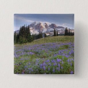 Chapa Cuadrada EE. UU., Washington, Mt. Rainier NP, Mt. Rainier y