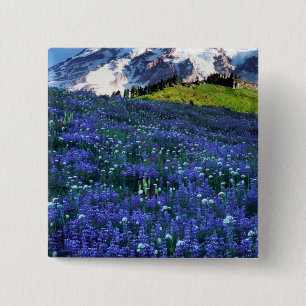 Chapa Cuadrada EE. UU., Washington, Parque Nacional Mt. Rainier. 