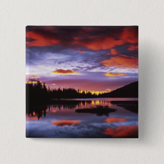 Chapa Cuadrada EE. UU., Washington, Parque Nacional Mt. Rainier, (Anverso)