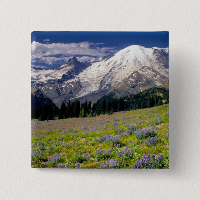 Chapa Cuadrada EE. UU., Washington, Parque Nacional Mt. Rainier. (Anverso)