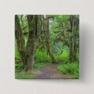 Chapa Cuadrada EE.UU., Washington, Parque Nacional Olímpico, Hoh