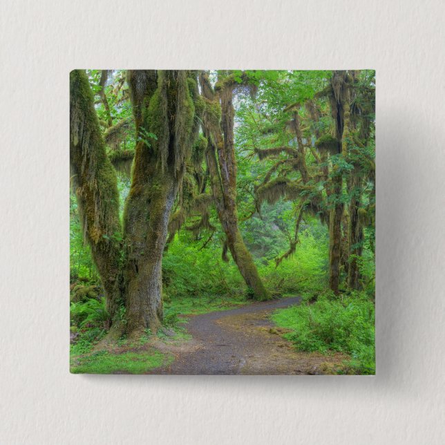 Chapa Cuadrada EE.UU., Washington, Parque Nacional Olímpico, Hoh (Anverso)