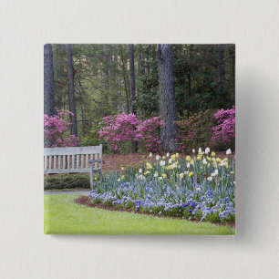 Chapa Cuadrada EEUU, Georgia, Montaña Pina. Una frontera de