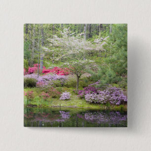 Chapa Cuadrada EEUU, Georgia, Montaña Pina. Una mezcla de