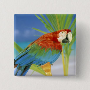 Chapa Cuadrada EEUU, Hawaii. Paro