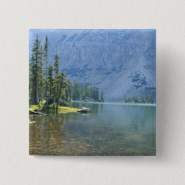 Chapa Cuadrada EEUU, Utah, Bosque Nacional Ashley, Alto Uintas (Anverso)