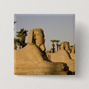 Chapa Cuadrada Egipto, Luxor. La Avenida de las Esfinges conduce 