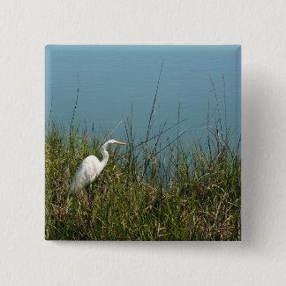 Chapa Cuadrada Egret blanco que se coloca en agua de la hierba w