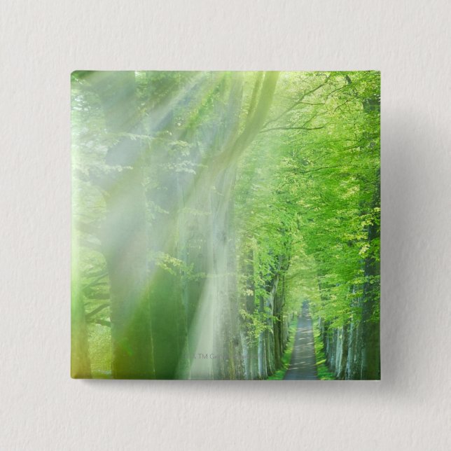 Chapa Cuadrada Ejes de la luz del sol (Anverso)