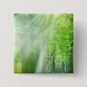 Chapa Cuadrada Ejes de la luz del sol