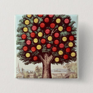 Chapa Cuadrada El árbol de la templanza, 1872