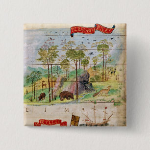 Chapa Cuadrada El bosque canadiense