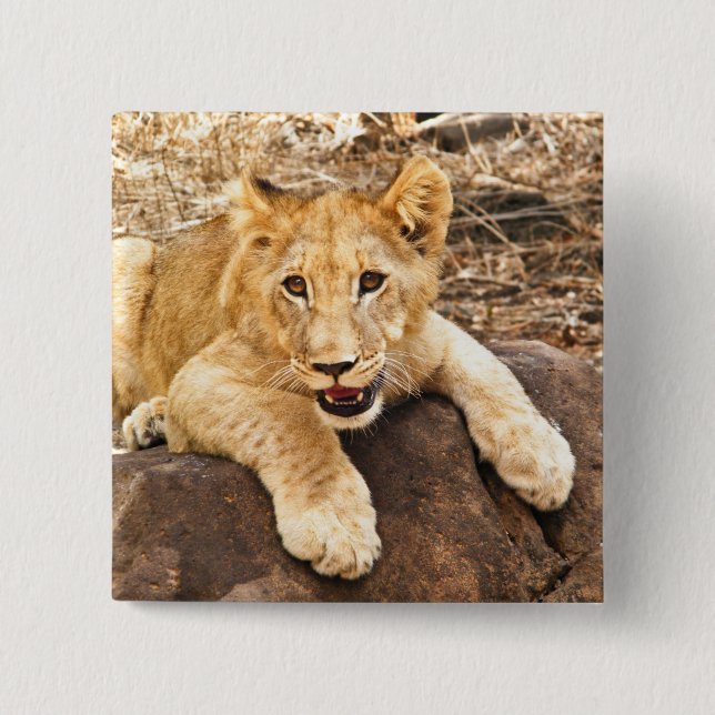 Chapa Cuadrada El Club De Tigres Se Toma El Respiro En La Roca (Anverso)