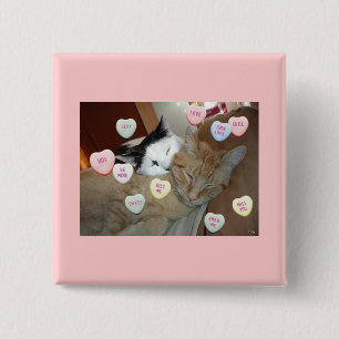 Chapa Cuadrada El día de San Valentín Kittens