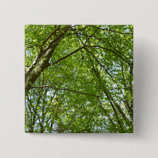 Chapa Cuadrada El dosel de la primavera deja la naturaleza verde