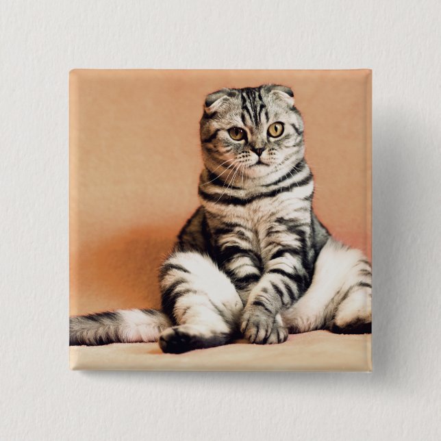 Chapa Cuadrada El Gatito Cute Se Extiende (Anverso)