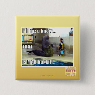 Chapa Cuadrada El haz u sabré