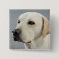 El labrador de oro