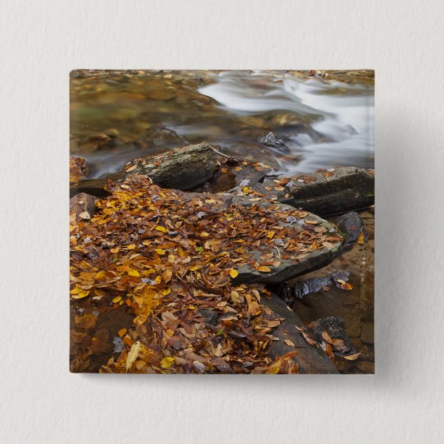 Chapa Cuadrada El otoño va a lo largo de la luciérnaga Mirando al (Anverso)