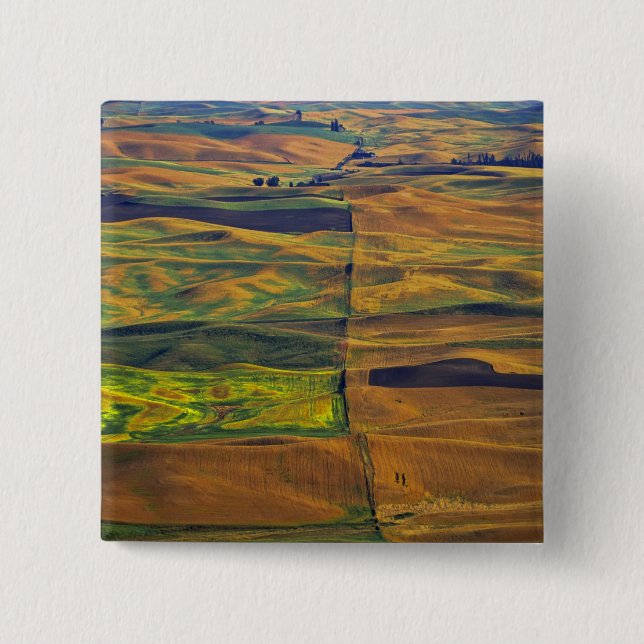 Chapa Cuadrada El Palouse desde Steptoe Butte, Colfax, (Anverso)