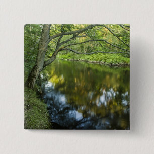 Chapa Cuadrada El río Taunton en Bridgewater,