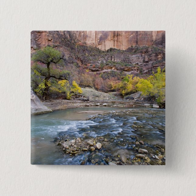 Chapa Cuadrada El río Virgin en otoño en el Parque Nacional de Zi (Anverso)