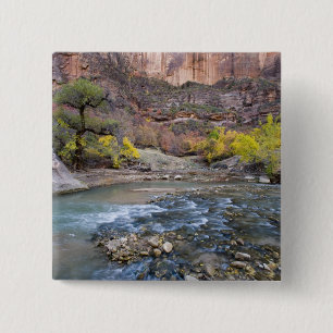 Chapa Cuadrada El río Virgin en otoño en el Parque Nacional de Zi