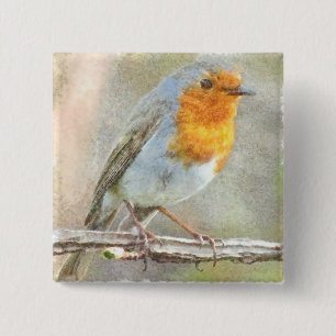 Chapa Cuadrada El Robin Es Una Acuarela Gabriel
