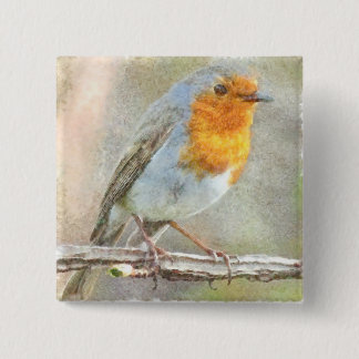 Chapa Cuadrada El Robin Es Una Acuarela Gabriel