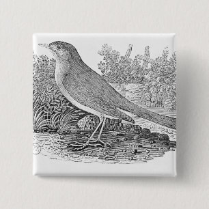 Chapa Cuadrada El usignuolo