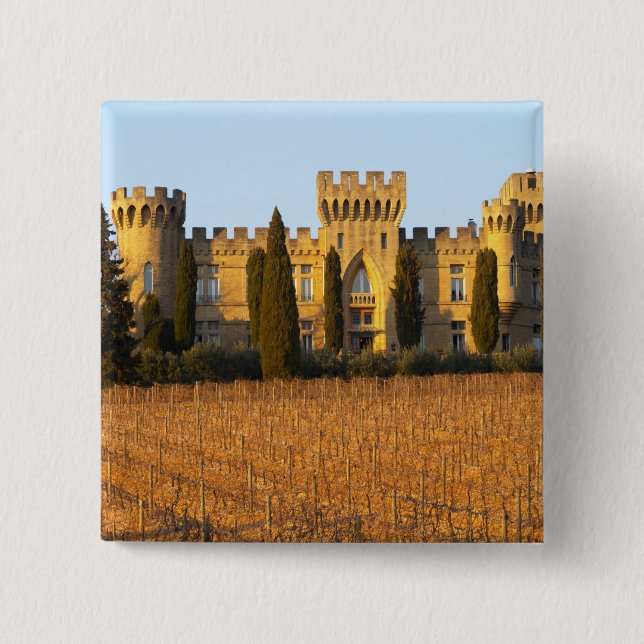 Chapa Cuadrada El viñedo con vides syrah y el castillo (Anverso)