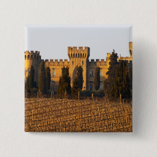 Chapa Cuadrada El viñedo con vides syrah y el castillo