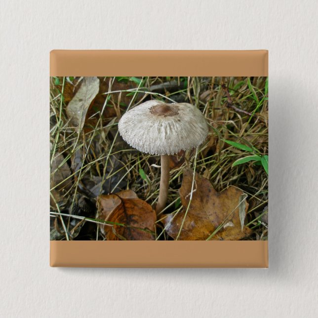 Chapa Cuadrada Elementos de coordenadas de hongos de Parasol blan (Anverso)