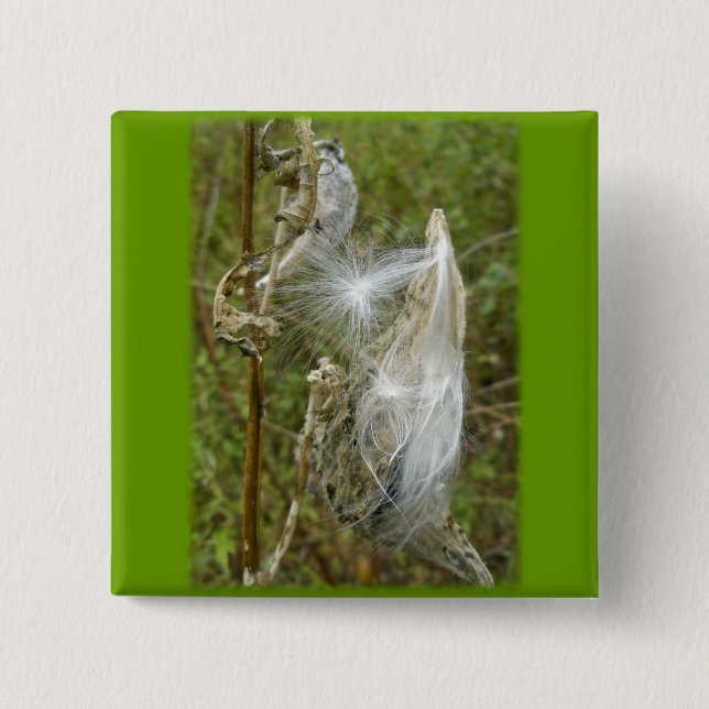 Chapa Cuadrada Elementos de coordinación de semillas de levas (Anverso)