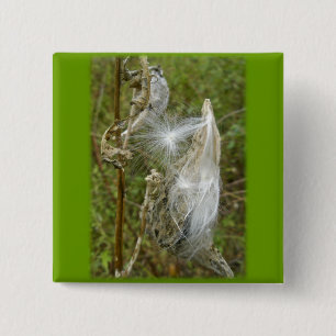 Chapa Cuadrada Elementos de coordinación de semillas de levas