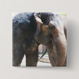 Chapa Cuadrada Elephant face