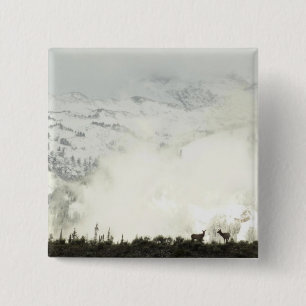 Chapa Cuadrada Elk en el Parque Nacional de Grand Teton